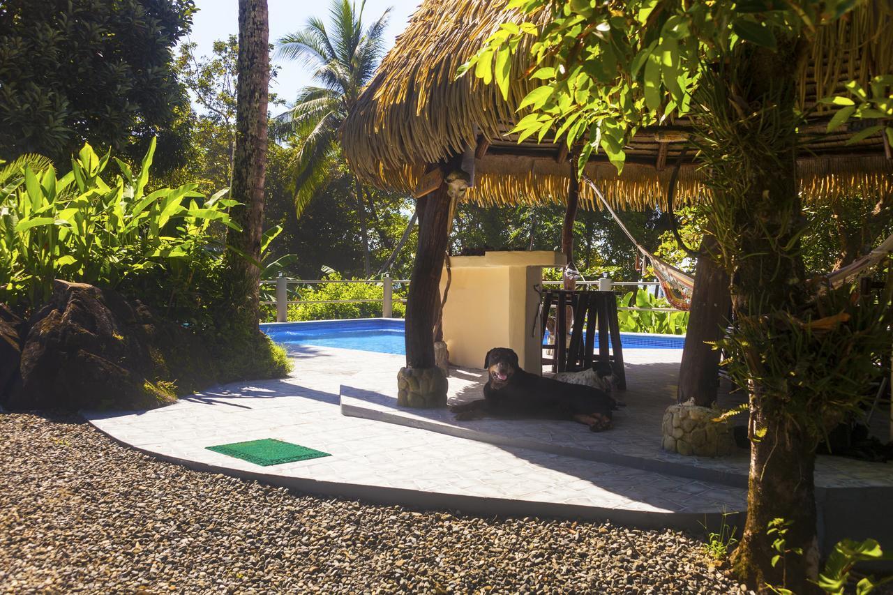 Coconut Grove Oceanfront Cottages Dominical Zewnętrze zdjęcie