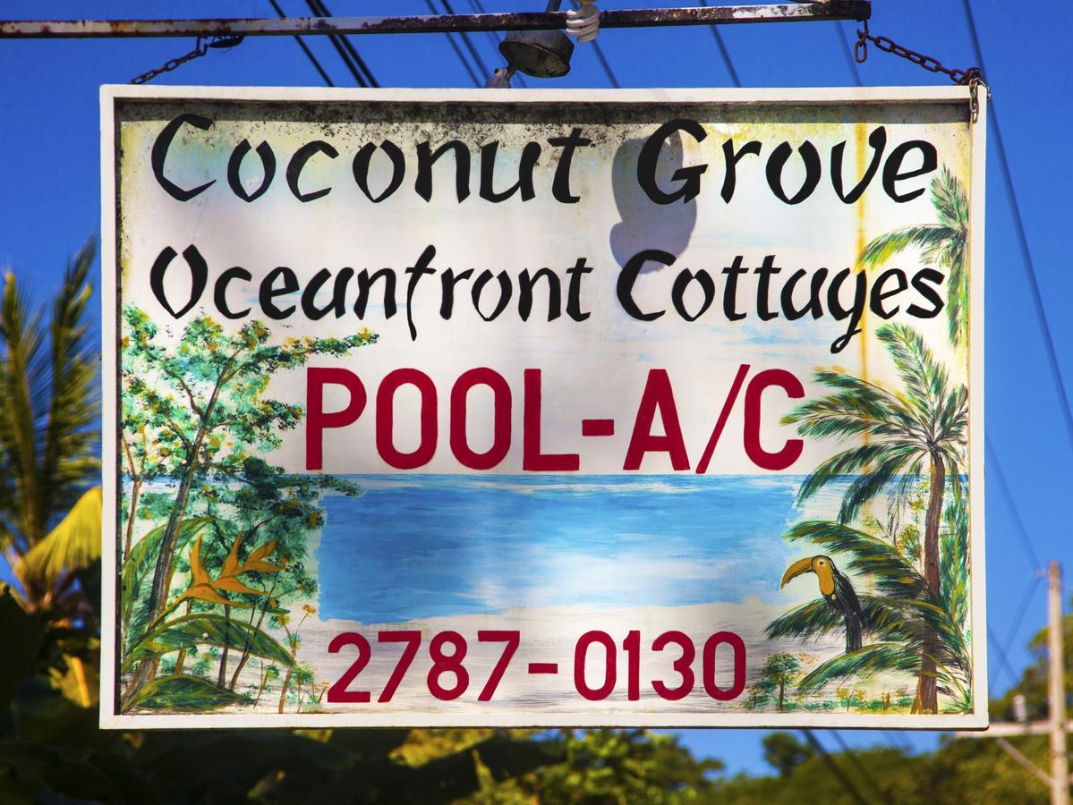 Coconut Grove Oceanfront Cottages Dominical Zewnętrze zdjęcie
